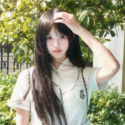 新报仇